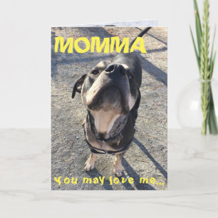 Der Tag der Mutter, der vom Hund leckt Karte