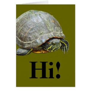 Der Tag der Schildkröte