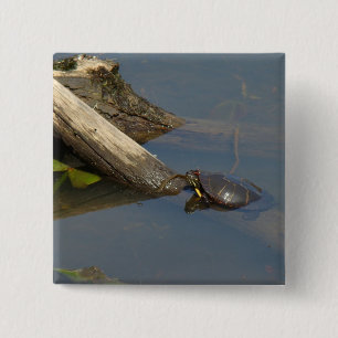 Der Tag der Schildkröte Button