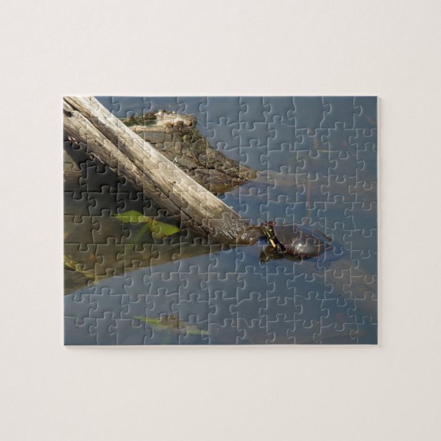 Der Tag der Schildkröte Puzzle (Horizontal)
