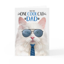 Der Tag des Weißen Angorakatvaters Eine Coole Katz