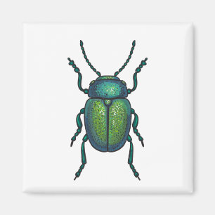 Der Tansienkäfer Magnet