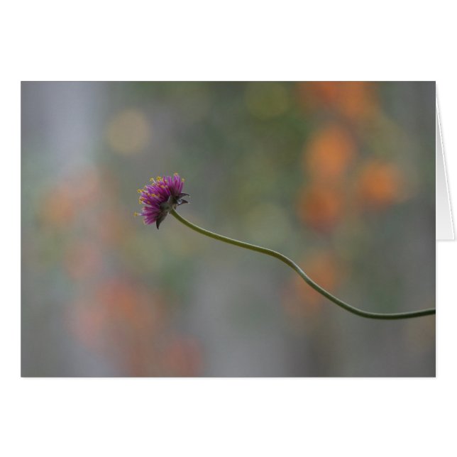 der Tanz (Vorderseite (Horizontal))