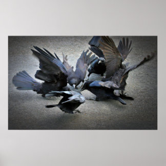 Der Tanz der Krähen Poster