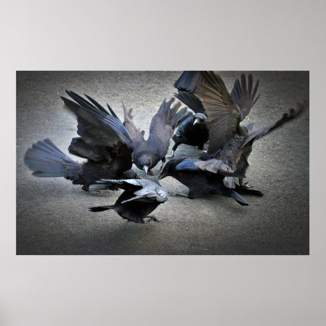 Der Tanz der Krähen Poster (Vorne)