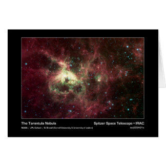 Der Tarantula-Nebel - Spitzer-Weltraumteleskop - I