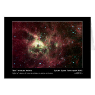 Der tarantula-Nebelfleck - Spitzer