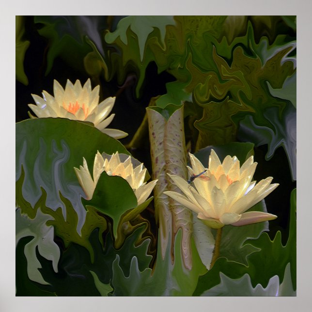 Der Teich der Fee.... Poster (Vorne)