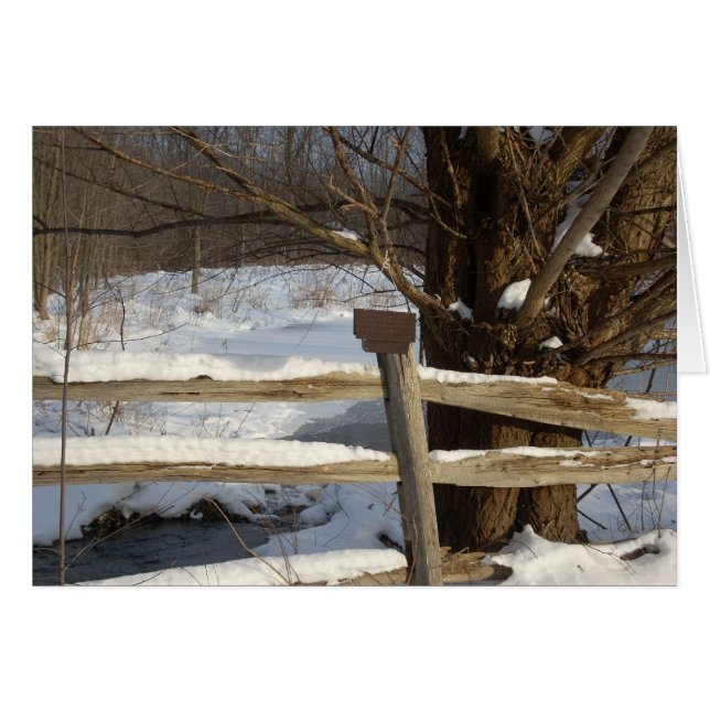 Der Teich im Winter (Vorderseite (Horizontal))