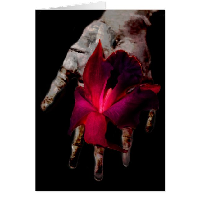 Der Test der Zeit (Vorne)