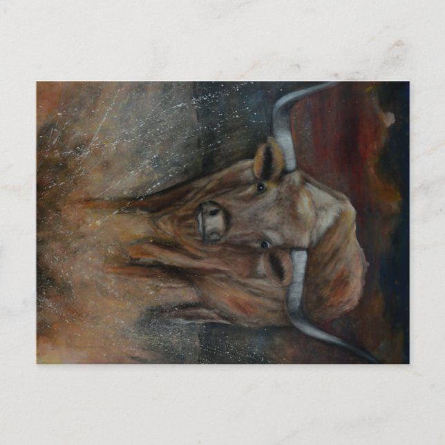 Der Texas Longhorn Bull Postkarte (Vorderseite)