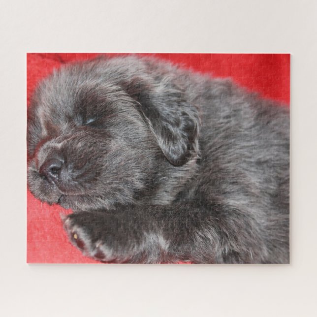 Der tibetische Mastiff Hund Jigsaws. Puzzle (Horizontal)