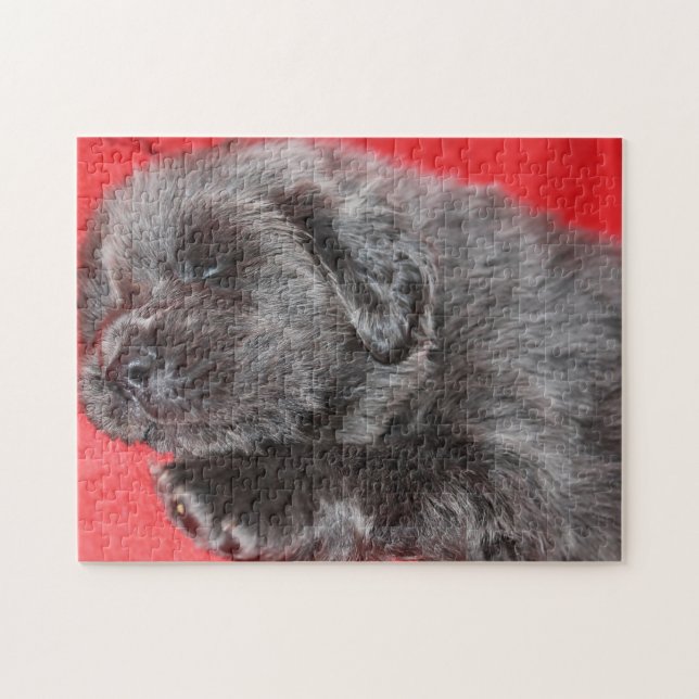 Der tibetische Mastiff Hund Jigsaws. Puzzle (Horizontal)