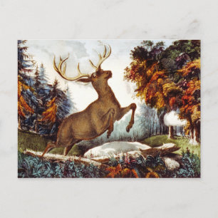 Der Todesschuss Postkarte