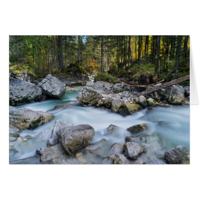 Der Torrent Ramsauer Ache (Vorderseite (Horizontal))