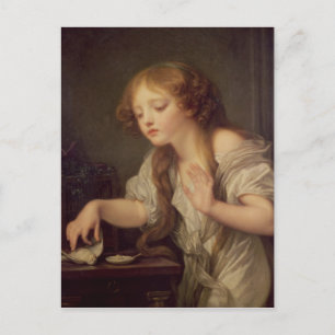 Der tote Vogel Postkarte