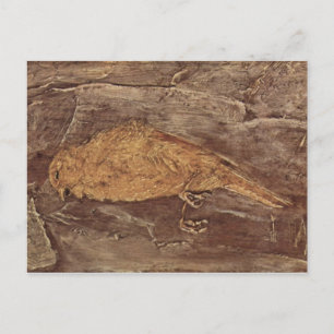 Der tote Vogel Postkarte