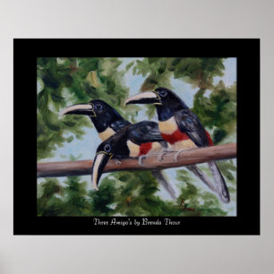 Der Toucan drei Freundes Plakat-Druck Poster