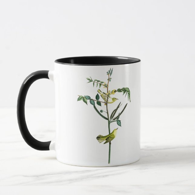 Der Trällerer-Johns Audubon der Kinder Vögel von Tasse (Links)