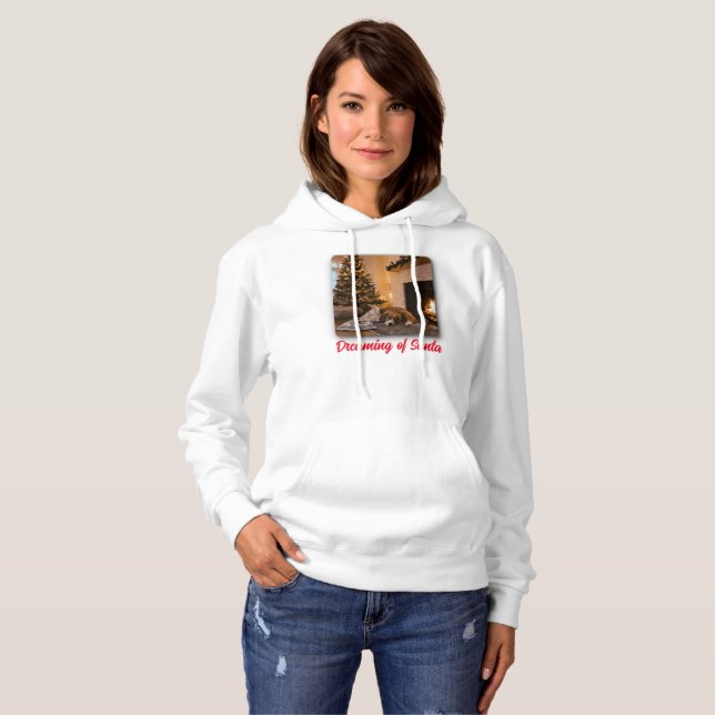 Der Traum vom Weihnachtsmann Hoodie (Vorne ganz)