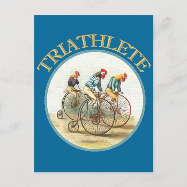 Der Triathlon der Hühner Postkarte (Vorderseite)