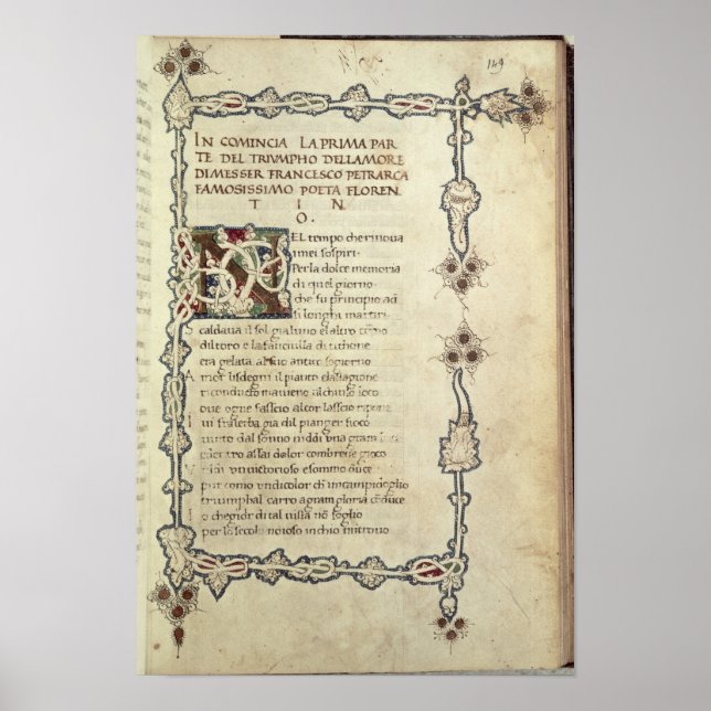 Der Triumph der Liebe Poster (Vorne)