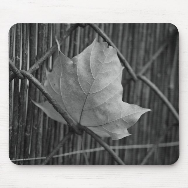 Der trockene Ahornleaf - Mousepad (Vorne)