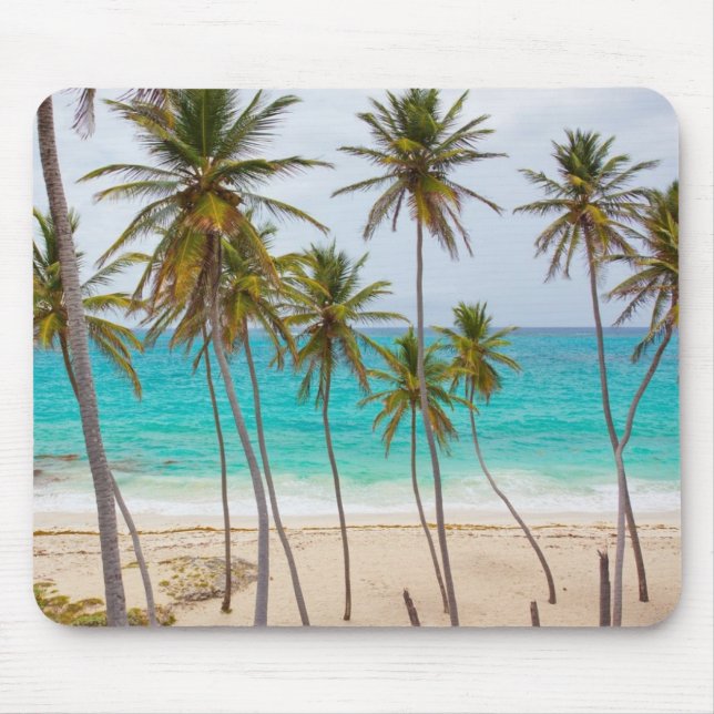 Der tropische Strand mit Palmen Mousepad (Vorne)