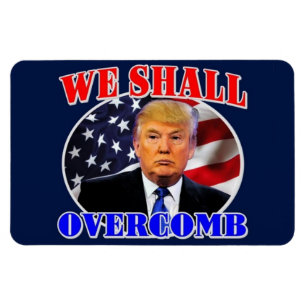 Der Trumpf-Magnet 2016 Magnet