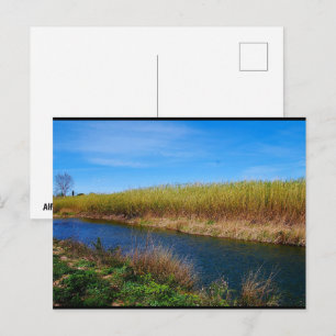 Der Túria-Fluss Postkarte