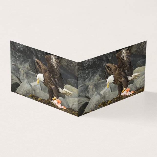 Der ultimative Adler (Vorderseite)