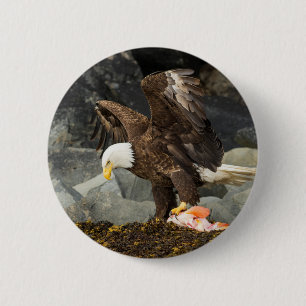 Der ultimative Adler Button