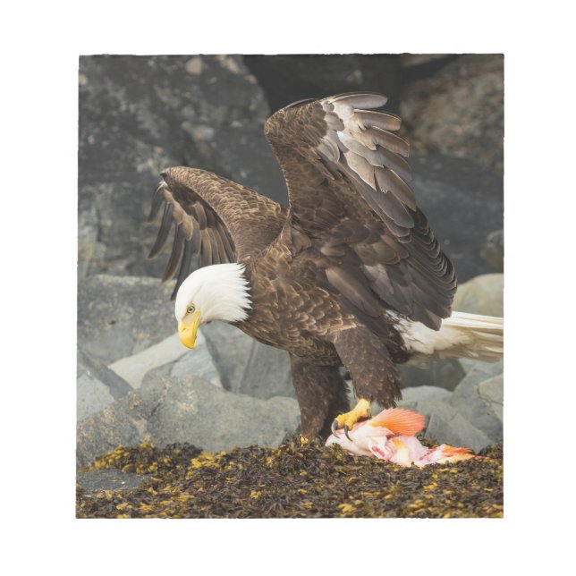 Der ultimative Adler Notizblock (Vorderseite)