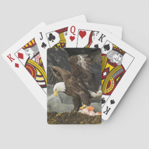 Der ultimative Adler Spielkarten