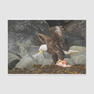 Der ultimative Bald-Adler Seidenpapier