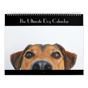 Der ultimative Hundekalender Kalender