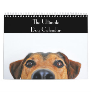 Der ultimative Hundekalender Kalender