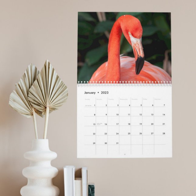 Der unglaubliche Flamingo-Kalender wählt Jahr Kalender (Von Creator hochgeladen)