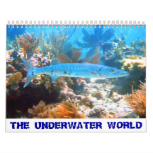 Der UNTERWASSERweltkalender