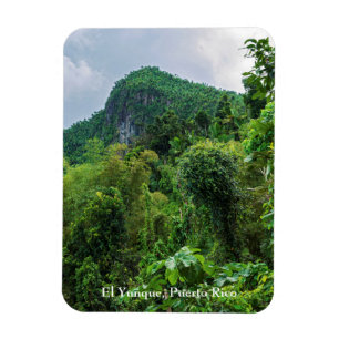 Der üppige Regenwald und der Yunque-Gipfel Magnet
