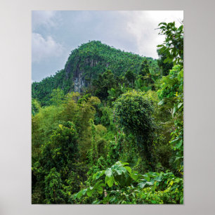 Der üppige Regenwald und der Yunque-Gipfel Poster