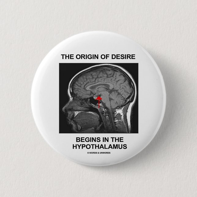 Der Ursprung des Wunsches fängt im Hypothalamus an Button (Vorderseite)