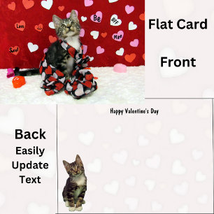 Der Valentinstag der Katze ist die Flachkarte des
