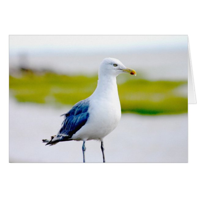 Der Vogel am Wasser (Vorderseite (Horizontal))