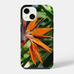 Der Vogel der paradiesischen Blume. iPhone 14 Hülle