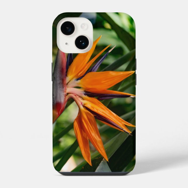 Der Vogel der paradiesischen Blume. iPhone Hülle (Rückseite)