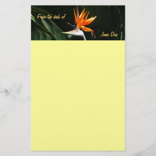 Der Vogel der tropischen Blume Orange Briefpapier