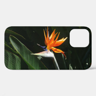 Der Vogel der tropischen Blume Orange Case-Mate iPhone Hülle