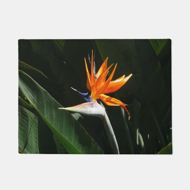 Der Vogel der tropischen Blume Orange Fußmatte (Vorderseite)