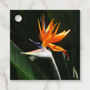 Der Vogel der tropischen Blume Orange Geschenkanhänger